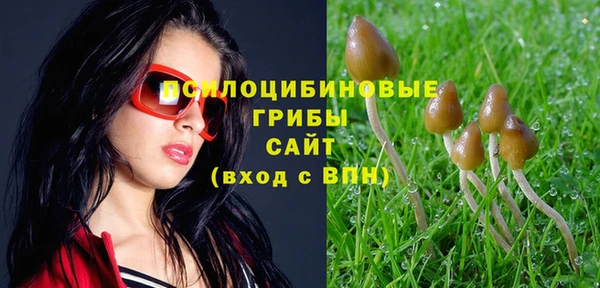 Альфа ПВП Балабаново