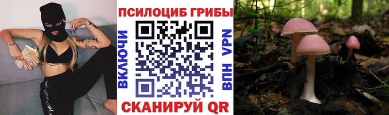 Псилоцибиновые грибы MAGIC MUSHROOMS  дарнет шоп  Белогорск 